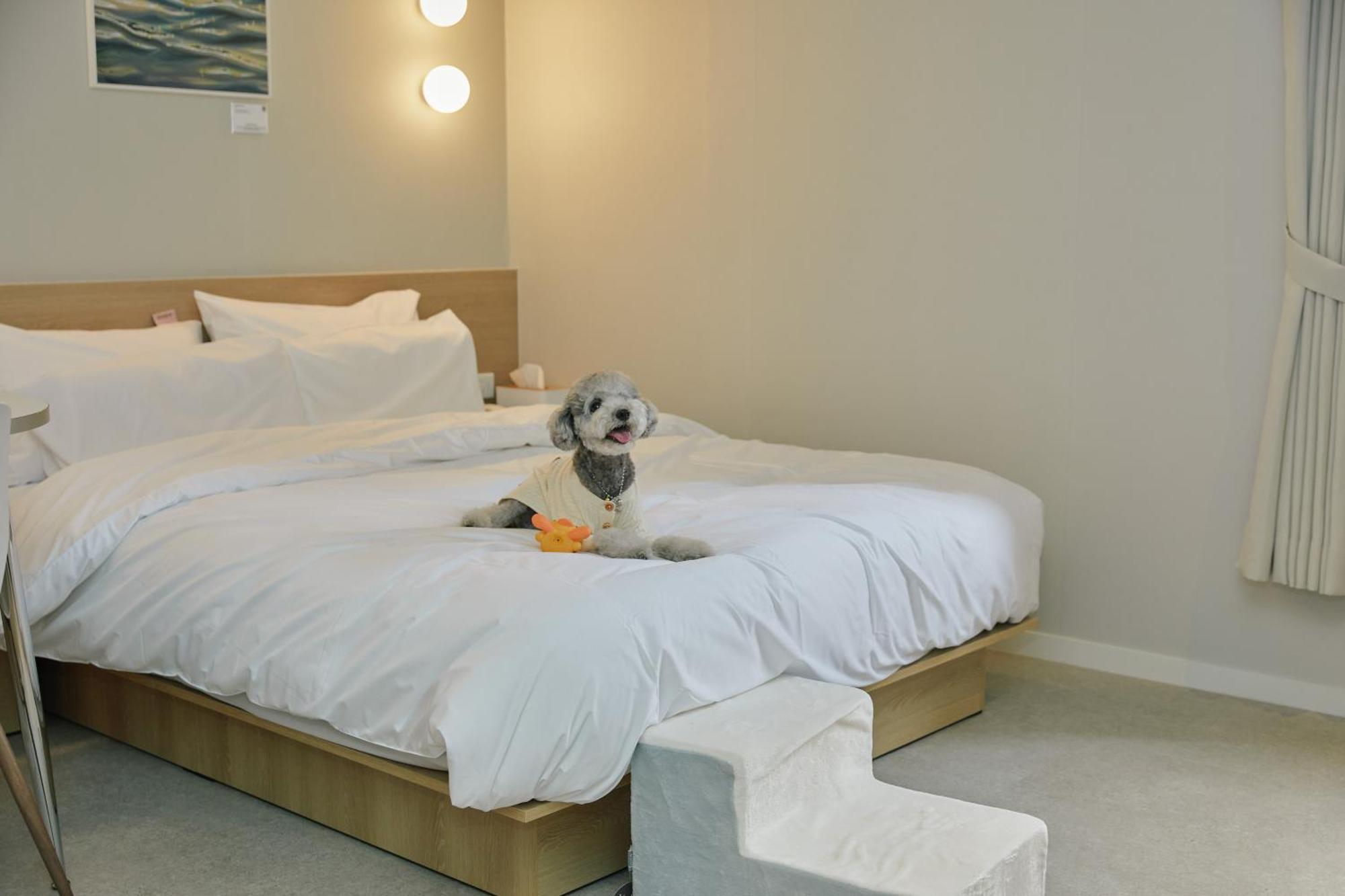 Aank Hotel Incheon Songdo 외부 사진